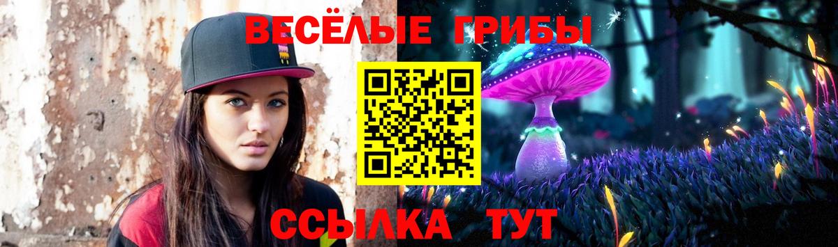 Борисоглебск  Галлюциногенные грибы Magic Shrooms  Вход с VPN 